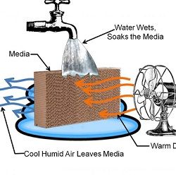Изпарителни климатици (адиабатни охладители) - технологията зад ефективното охлаждане