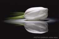 Infrared Panel InfraHEAT White Glass - Picture 'Tulips'